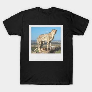 CHEETAH Photograph Cute Big Cat Vintage Picture T-Shirt